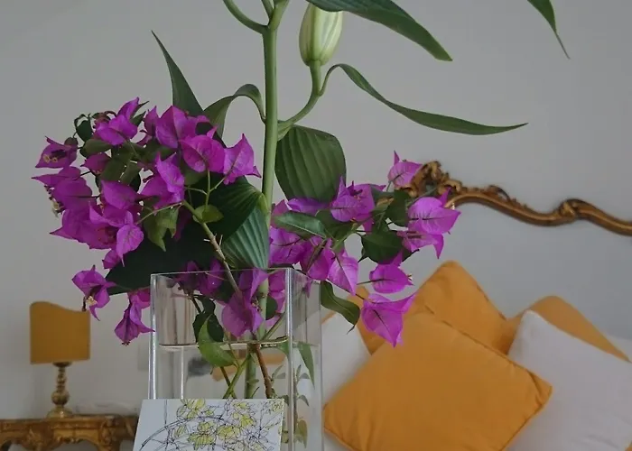 Yiara (adults Only) 4*